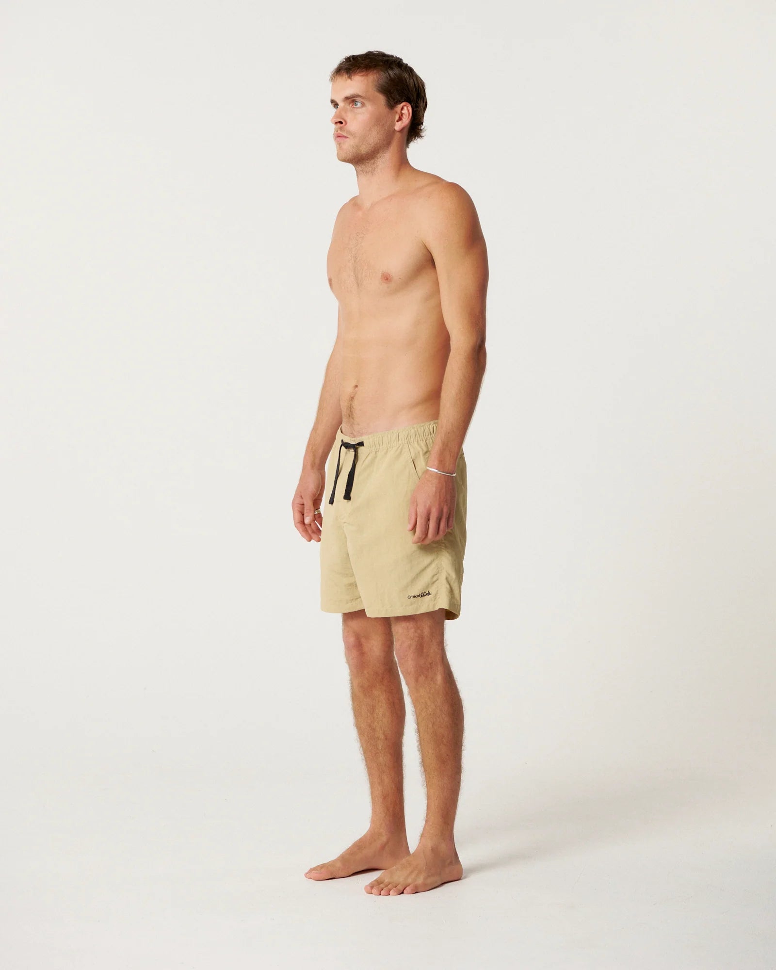 Nucleus Trunk - Boulder