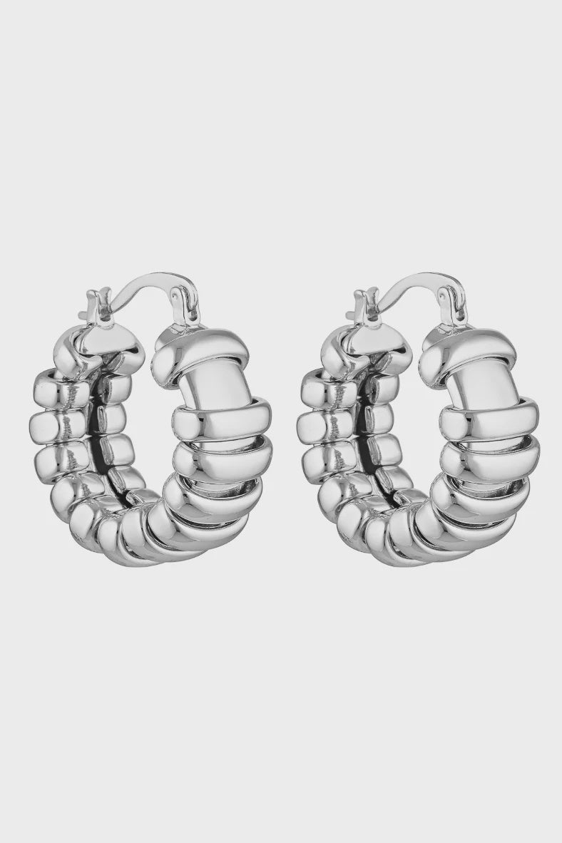 Turtle Hoops Silver
