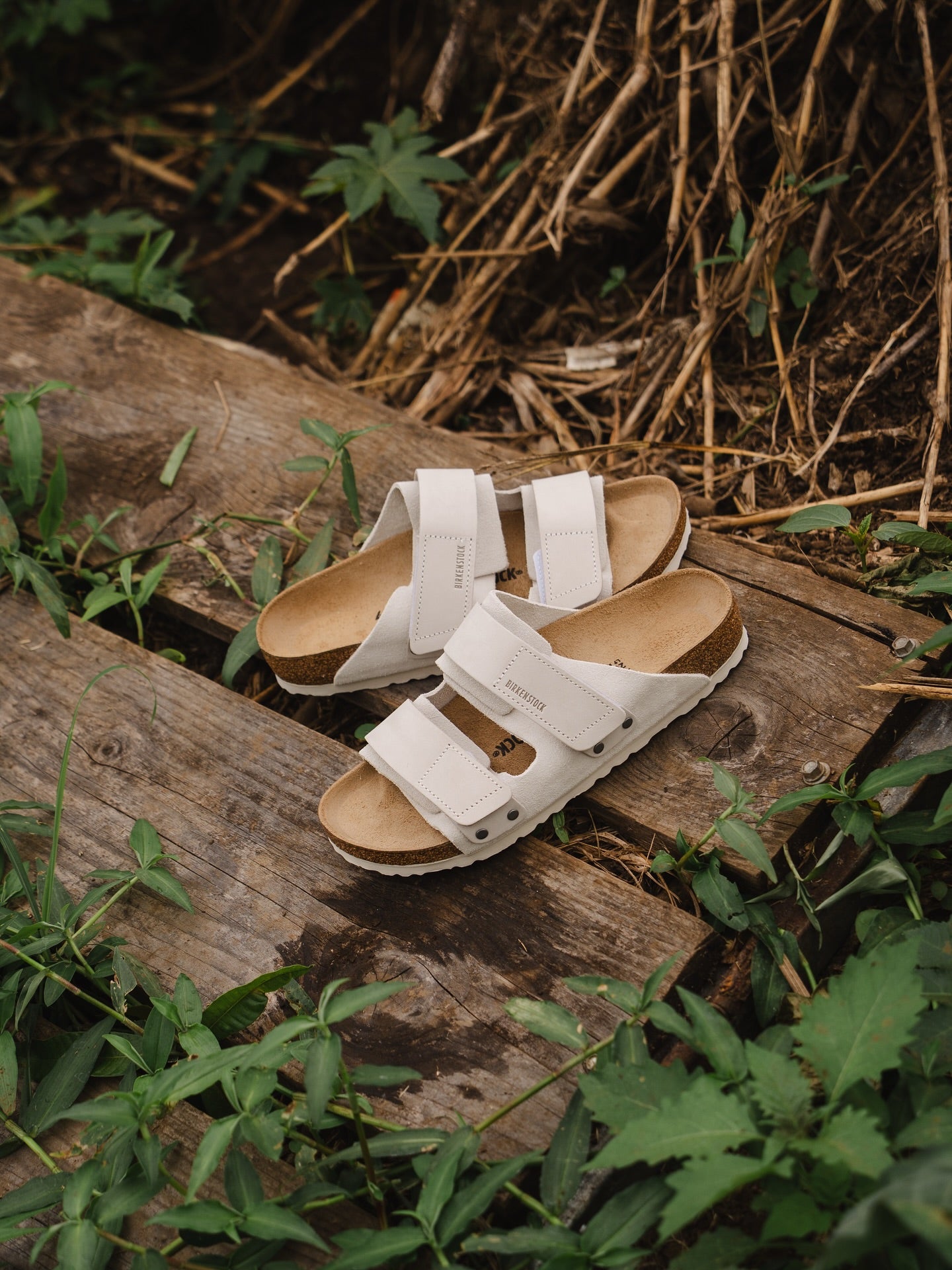 Uji Suede Leather - White