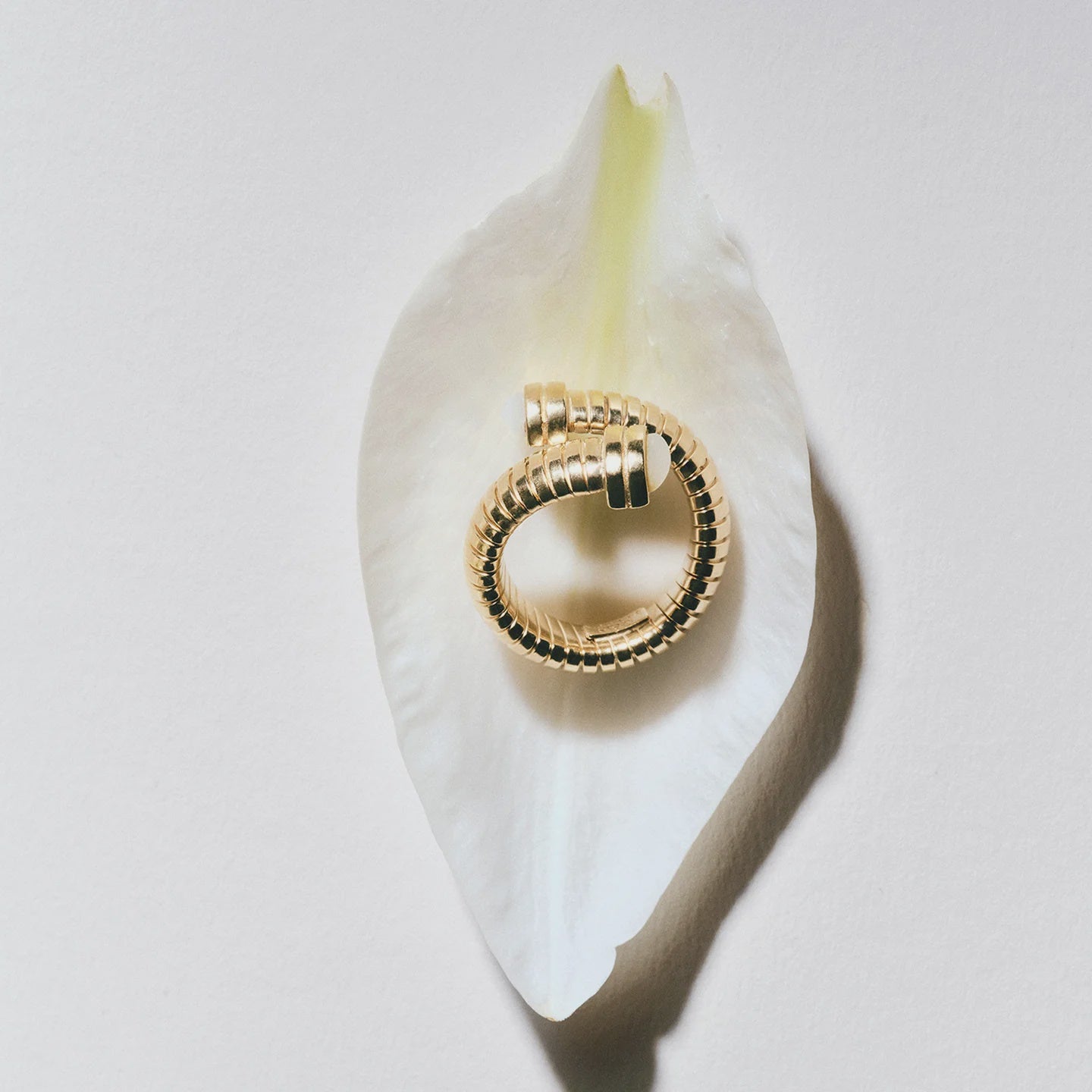 Antigone Ring - Mother of Pearl