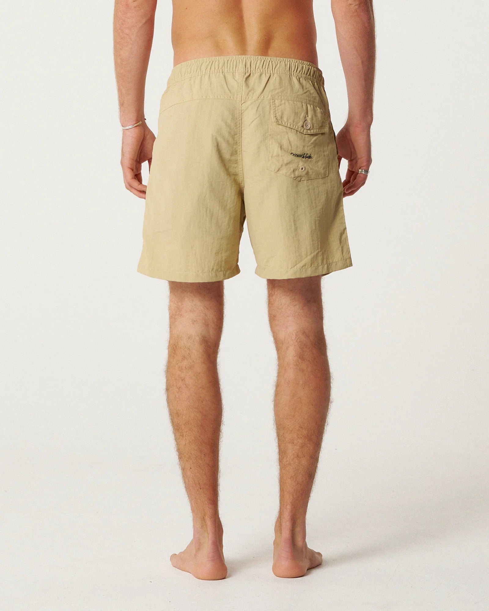 Nucleus Trunk - Boulder