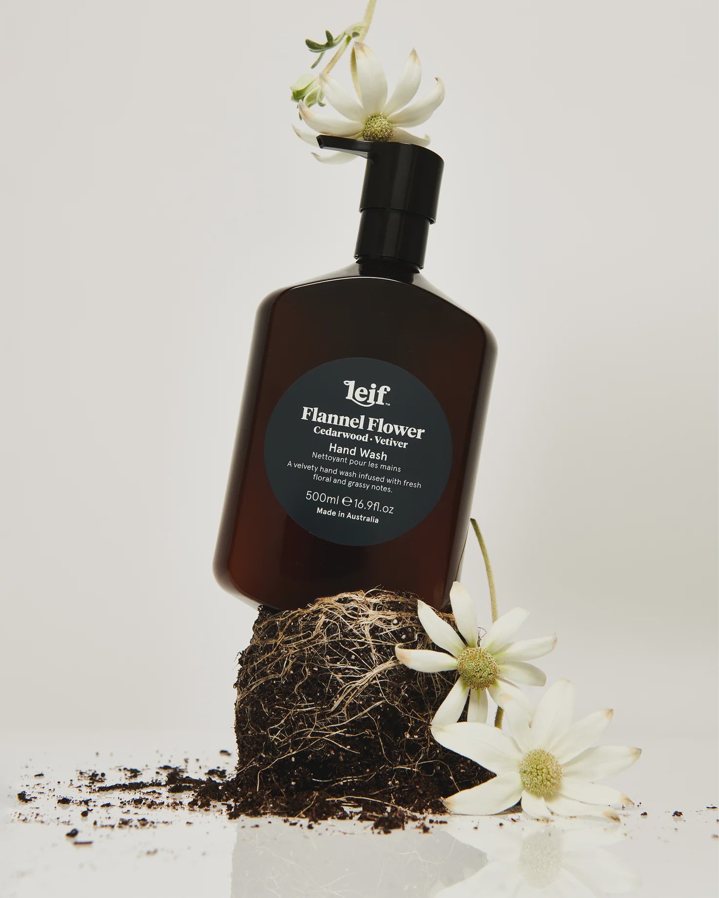 Hand Wash - Flannel Flower