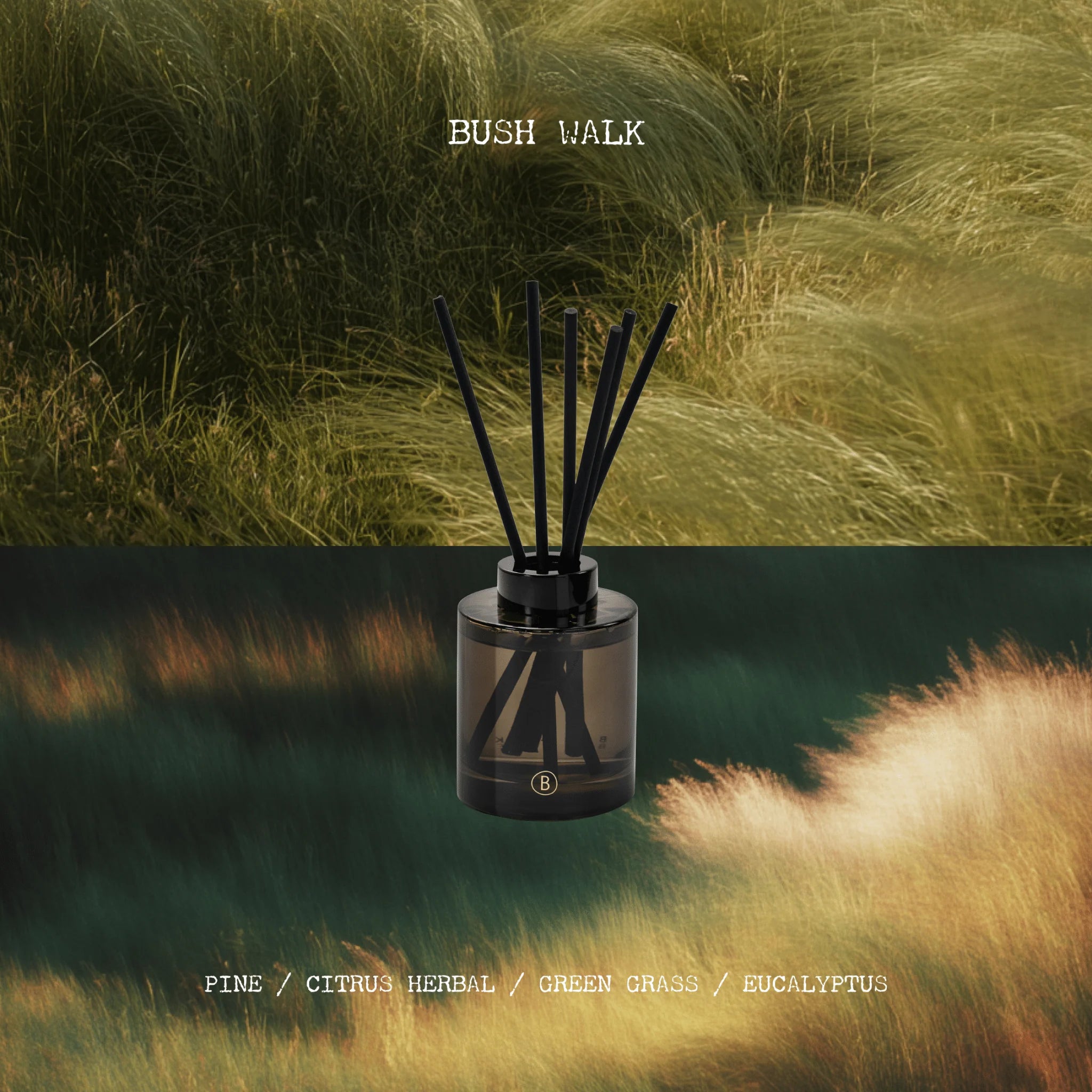 Reed Diffuser - Bush Walk