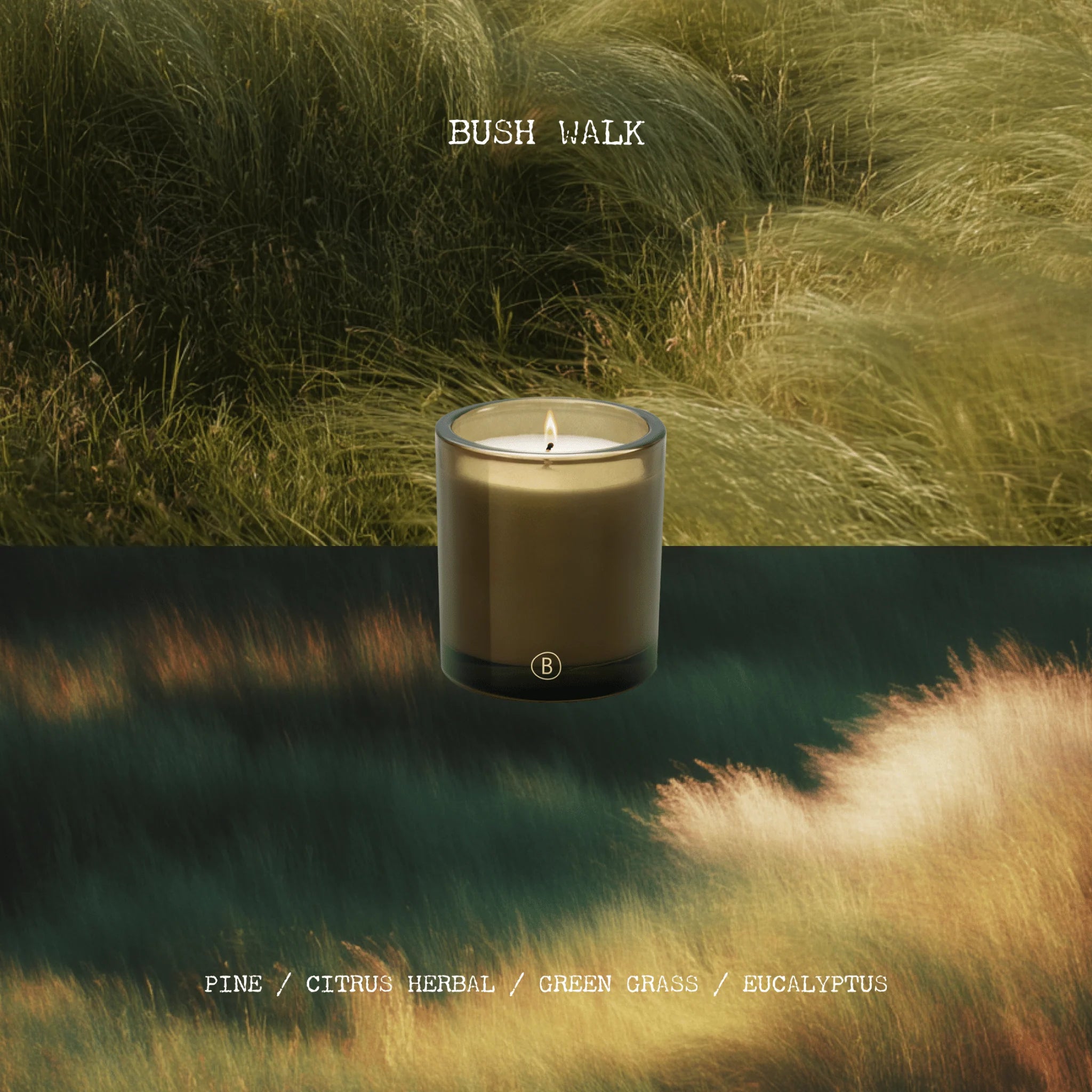 Bush Walk Scented 300g Candle